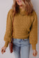 Jurassic Gold Hollow Out Crochet Ribbed Edge Balloon Sleeve Sweater